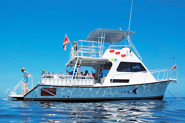 Grand Cayman diving — Living the Dream spacious noncrowded custom dive boat