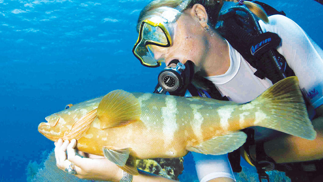 Cayman Islands Diving 2