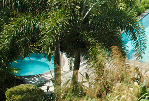 Cayman condo with hot tub photos